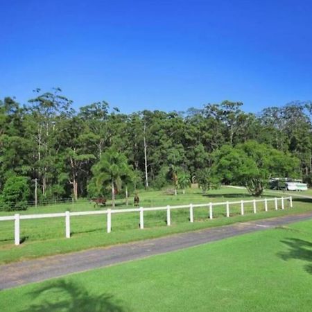 Cabin Country Retreat Paskins Farm Palmwoods Zewnętrze zdjęcie