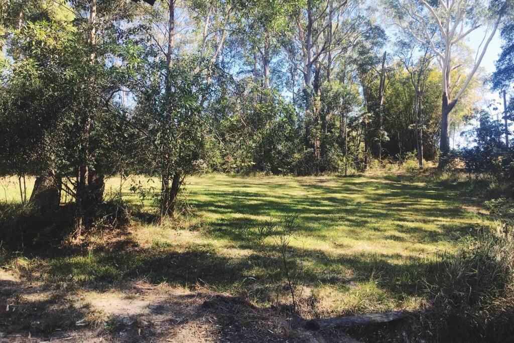 Cabin Country Retreat Paskins Farm Palmwoods Zewnętrze zdjęcie